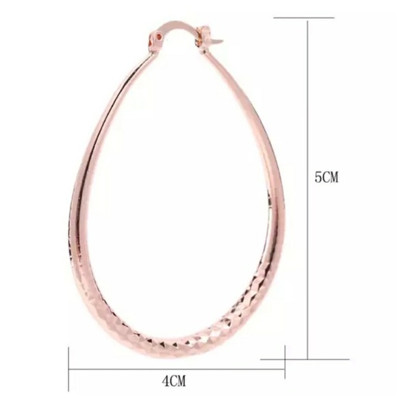 Pink Rose Gold Hoop Earrings - Picture 3 of 4